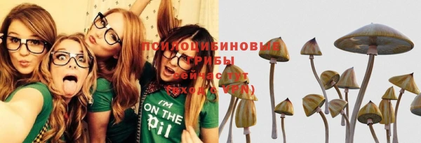 ешки Ельня
