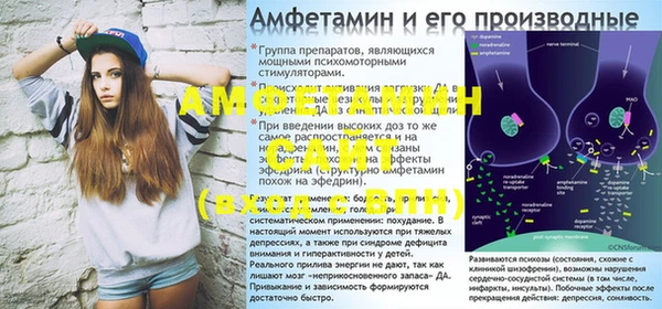 ешки Ельня