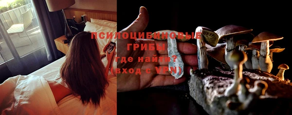 ешки Ельня