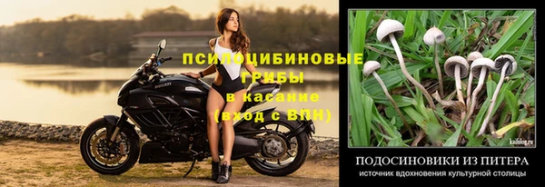 ешки Ельня
