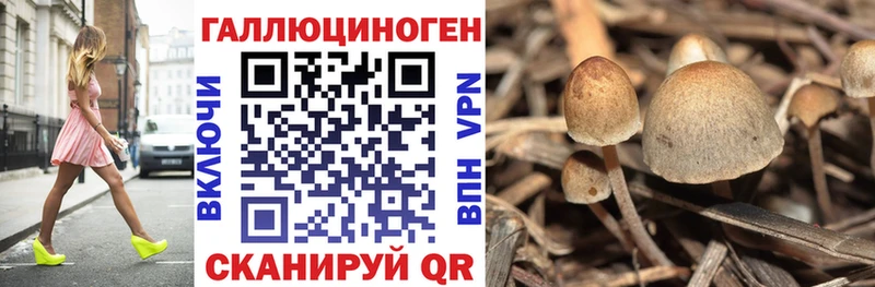 Галлюциногенные грибы прущие грибы  Купить где  Волоколамск 